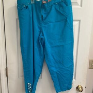 HEARTS OF PALM ANKLE PANTS NWOT SIZE 18